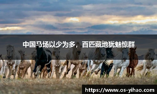壹号娱乐官网